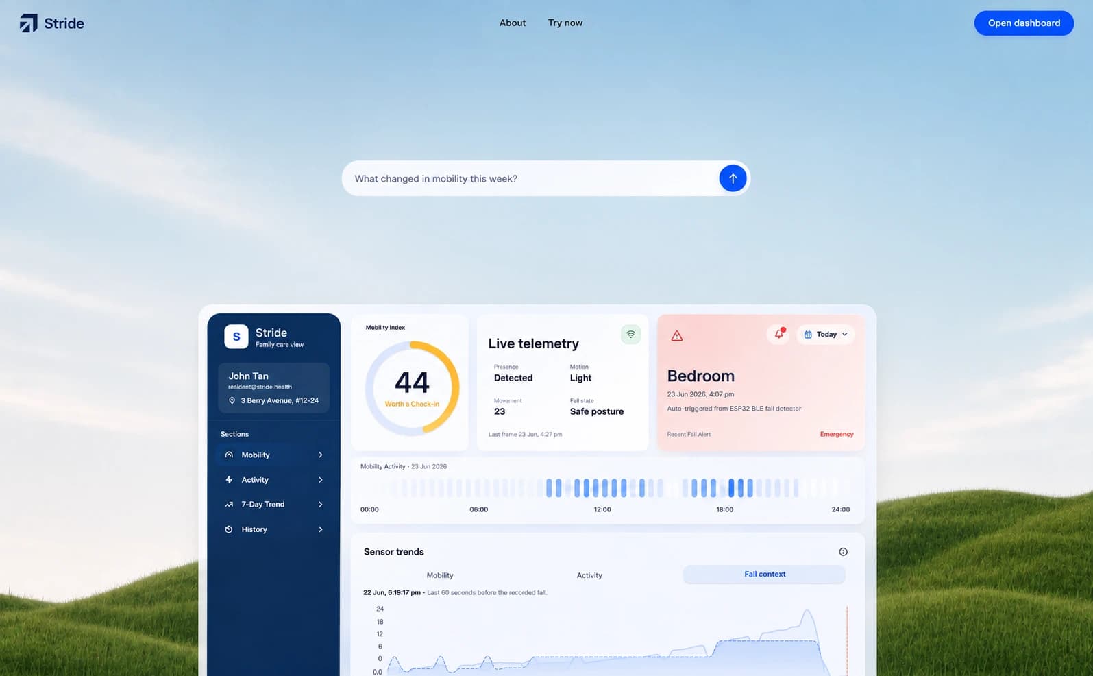 Stride care dashboard presented over a grassy landscape